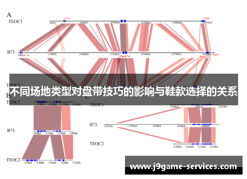 不同场地类型对盘带技巧的影响与鞋款选择的关系